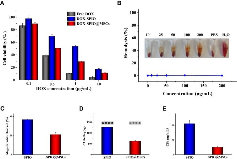 https://cdn.ncbi.nlm.nih.gov/pmc/blobs/c546/7185325/619c8b7a772a/IJN-15-2873-g0004.jpg
