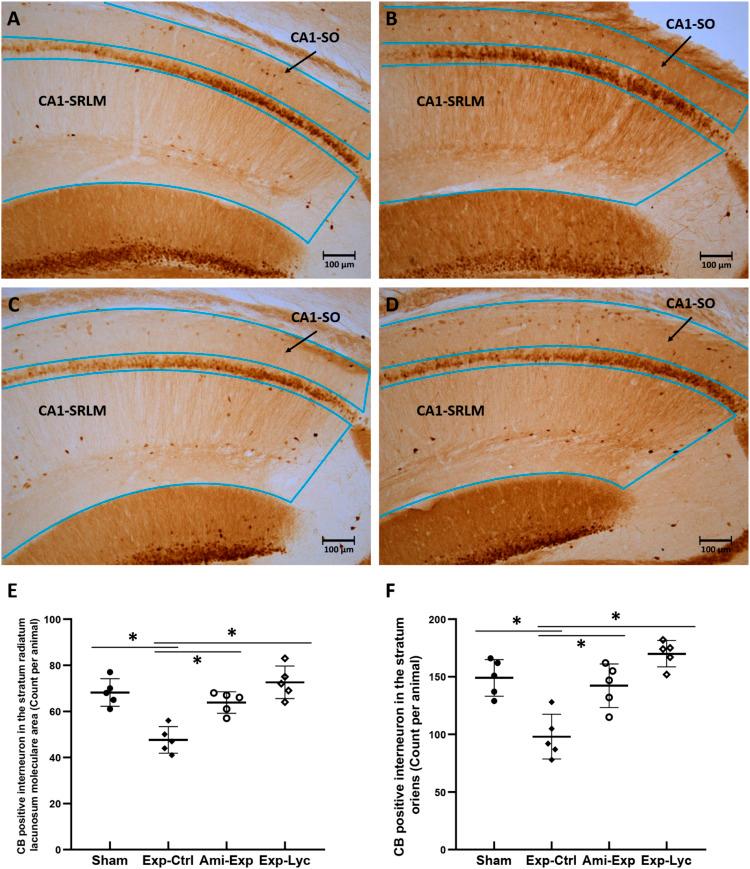 https://cdn.ncbi.nlm.nih.gov/pmc/blobs/c547/8649475/c293445cd898/10.1177_15593258211057768-fig5.jpg