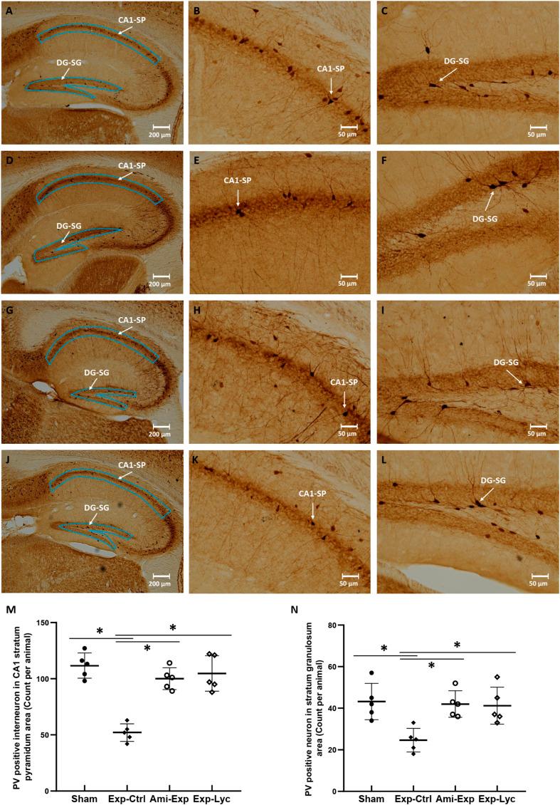 https://cdn.ncbi.nlm.nih.gov/pmc/blobs/c547/8649475/fa95b549a4c5/10.1177_15593258211057768-fig6.jpg