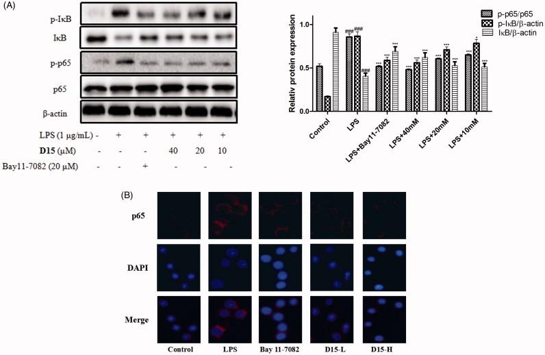 https://cdn.ncbi.nlm.nih.gov/pmc/blobs/c54a/6009859/aee7f6a973f1/IENZ_A_1381090_F0005_C.jpg