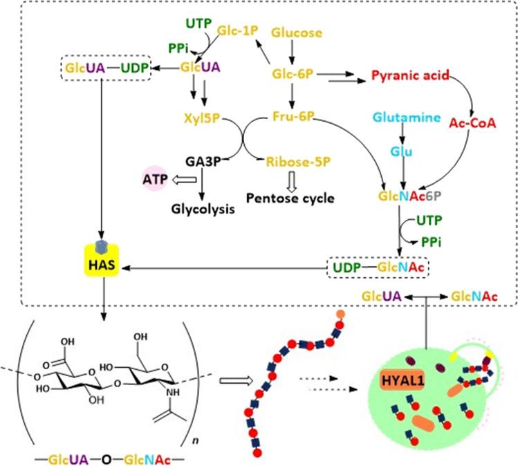 https://cdn.ncbi.nlm.nih.gov/pmc/blobs/c54a/9877274/7aa770ac3459/12672_2023_618_Fig4_HTML.jpg