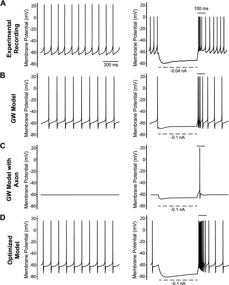 https://cdn.ncbi.nlm.nih.gov/pmc/blobs/c54b/11383608/79abdc43d093/jn.00287.2023_f005.jpg