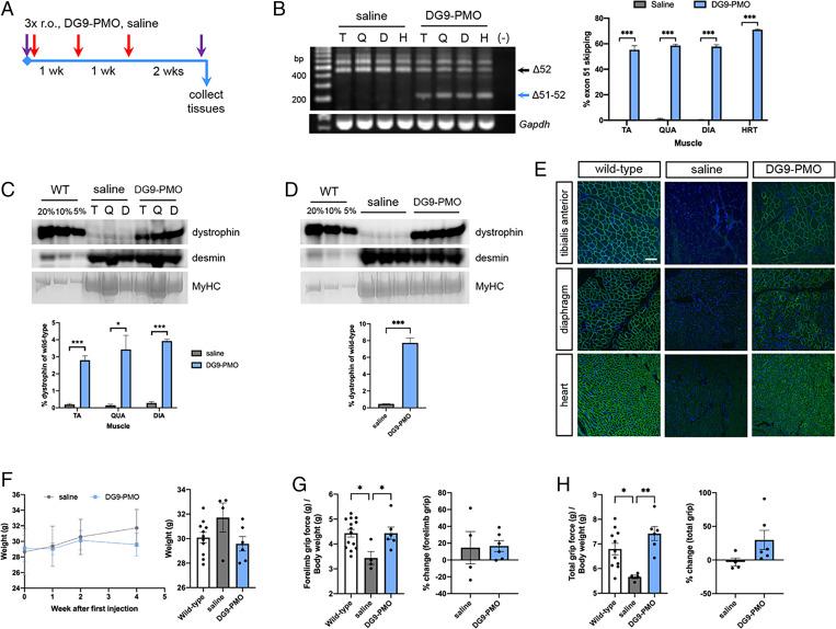 https://cdn.ncbi.nlm.nih.gov/pmc/blobs/c54b/8892351/39bf9597cf7c/pnas.2112546119fig03.jpg
