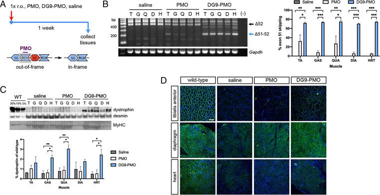 https://cdn.ncbi.nlm.nih.gov/pmc/blobs/c54b/8892351/66ad22101a71/pnas.2112546119fig02.jpg