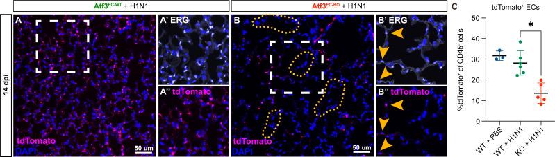 https://cdn.ncbi.nlm.nih.gov/pmc/blobs/c54c/10219650/17e2d7e16892/elife-83835-fig5.jpg