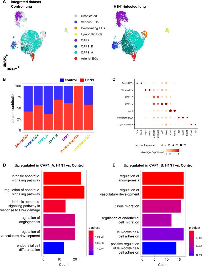 https://cdn.ncbi.nlm.nih.gov/pmc/blobs/c54c/10219650/4a761f6b889f/elife-83835-fig1-figsupp3.jpg