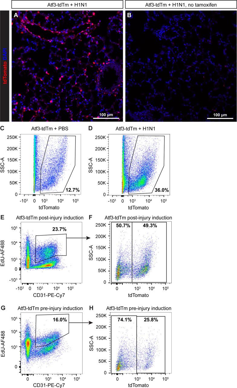 https://cdn.ncbi.nlm.nih.gov/pmc/blobs/c54c/10219650/774c5324093b/elife-83835-fig2-figsupp1.jpg