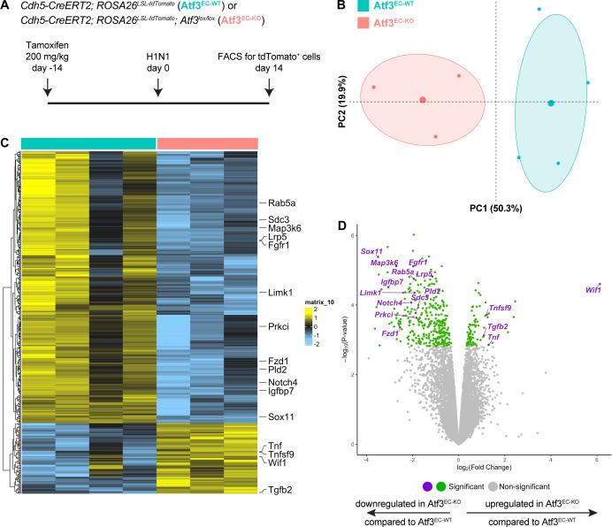 https://cdn.ncbi.nlm.nih.gov/pmc/blobs/c54c/10219650/942cd6e51345/elife-83835-fig4.jpg