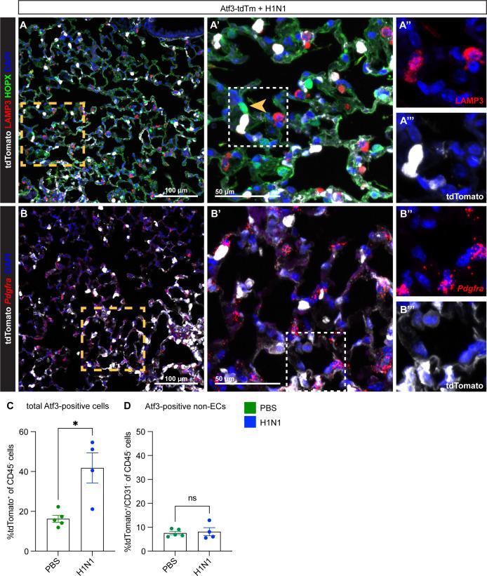 https://cdn.ncbi.nlm.nih.gov/pmc/blobs/c54c/10219650/9f0a1f2bccf7/elife-83835-fig2-figsupp2.jpg