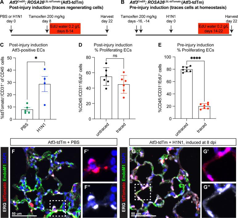 https://cdn.ncbi.nlm.nih.gov/pmc/blobs/c54c/10219650/c593b2756677/elife-83835-fig2.jpg