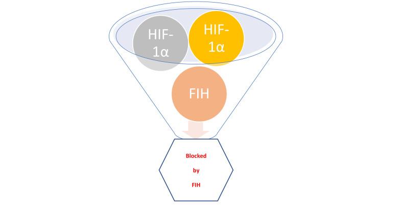 https://cdn.ncbi.nlm.nih.gov/pmc/blobs/c54f/9630551/495bb7f8fe0d/etat-03-1002107-g002.jpg