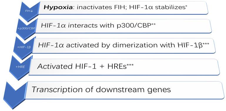 https://cdn.ncbi.nlm.nih.gov/pmc/blobs/c54f/9630551/5b289edfc718/etat-03-1002107-g001.jpg