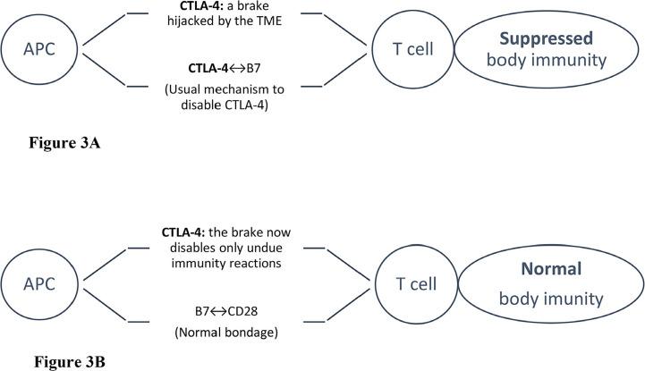 https://cdn.ncbi.nlm.nih.gov/pmc/blobs/c54f/9630551/b5002fd5f676/etat-03-1002107-g003.jpg