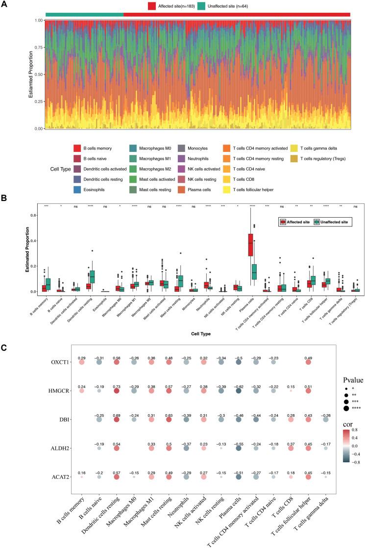 https://cdn.ncbi.nlm.nih.gov/pmc/blobs/c551/12043013/129f621d38d6/gr6.jpg