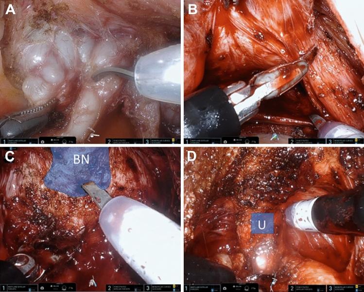 https://cdn.ncbi.nlm.nih.gov/pmc/blobs/c551/9628306/37fb54af2bd2/11701_2022_1464_Fig2_HTML.jpg