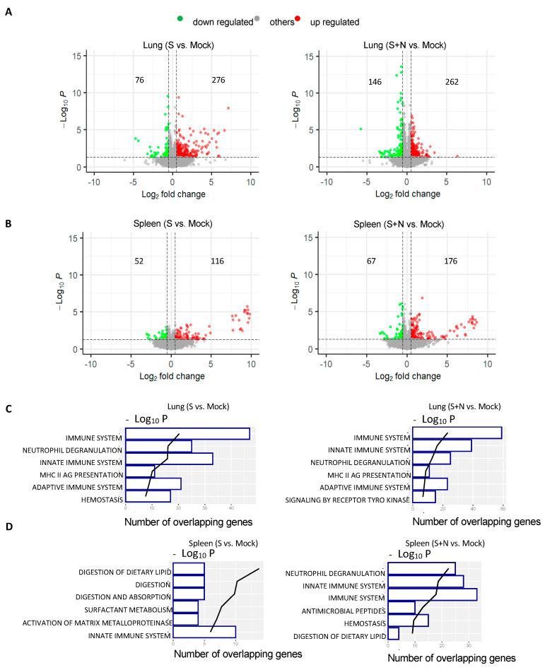 https://cdn.ncbi.nlm.nih.gov/pmc/blobs/c554/11125668/03c0671dc04f/vaccines-12-00543-g003a.jpg