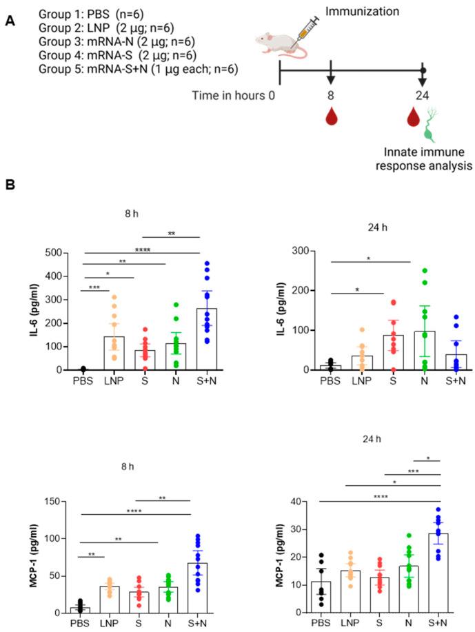 https://cdn.ncbi.nlm.nih.gov/pmc/blobs/c554/11125668/0cf6798a4f76/vaccines-12-00543-g001.jpg