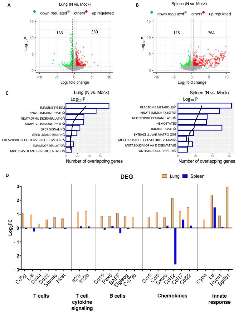 https://cdn.ncbi.nlm.nih.gov/pmc/blobs/c554/11125668/ed2e24394b5f/vaccines-12-00543-g002.jpg