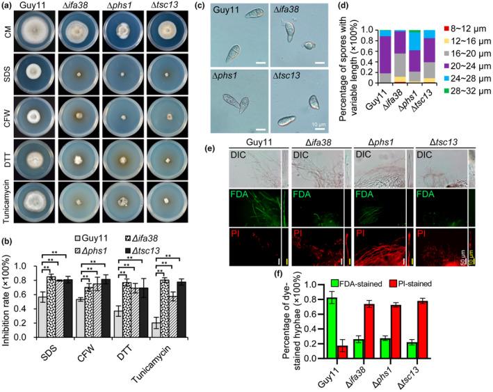 https://cdn.ncbi.nlm.nih.gov/pmc/blobs/c554/11246601/dcb8a0d89908/MPP-25-e13494-g002.jpg