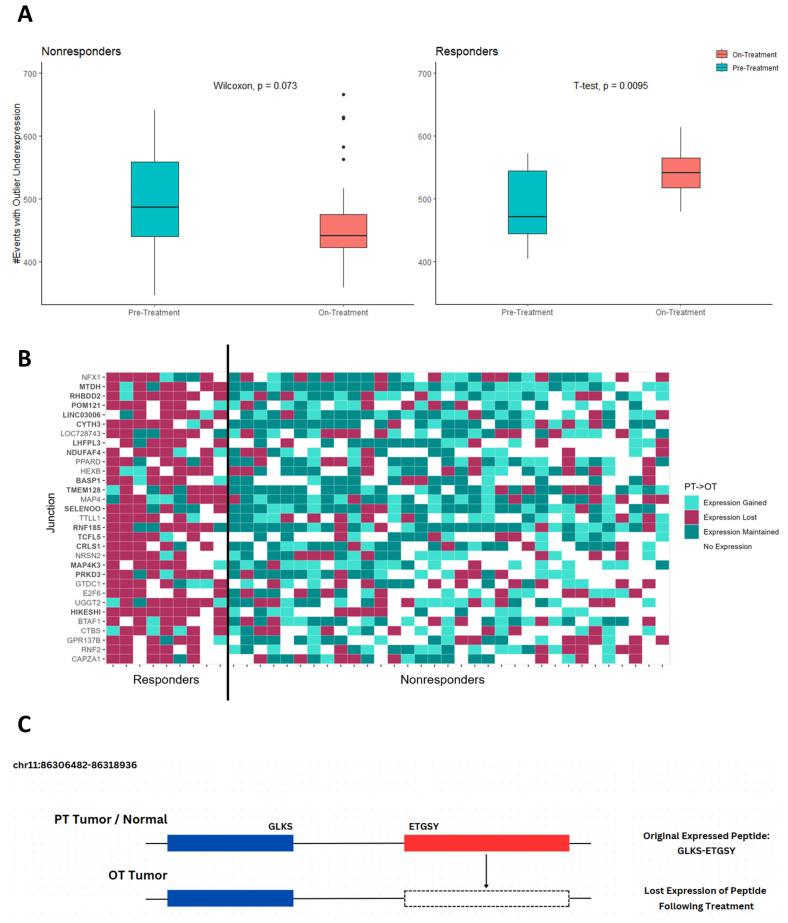 https://cdn.ncbi.nlm.nih.gov/pmc/blobs/c554/11720059/40383e4cf0b5/ijms-26-00205-g001.jpg