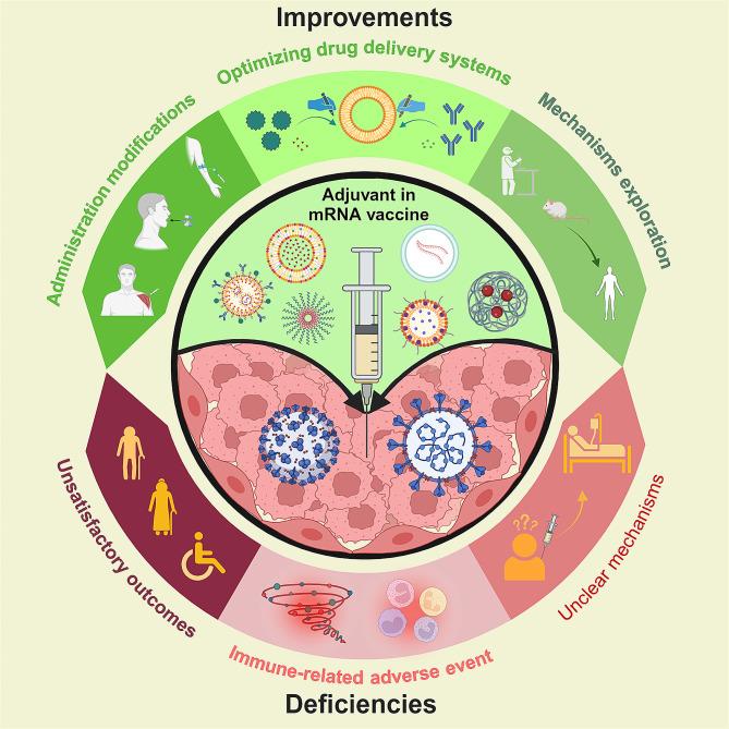 https://cdn.ncbi.nlm.nih.gov/pmc/blobs/c55a/11145938/3a169ca2872c/12951_2024_2590_Fig4_HTML.jpg