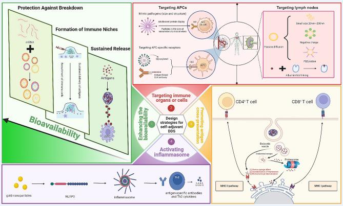 https://cdn.ncbi.nlm.nih.gov/pmc/blobs/c55a/11145938/90bd75950d62/12951_2024_2590_Fig3_HTML.jpg