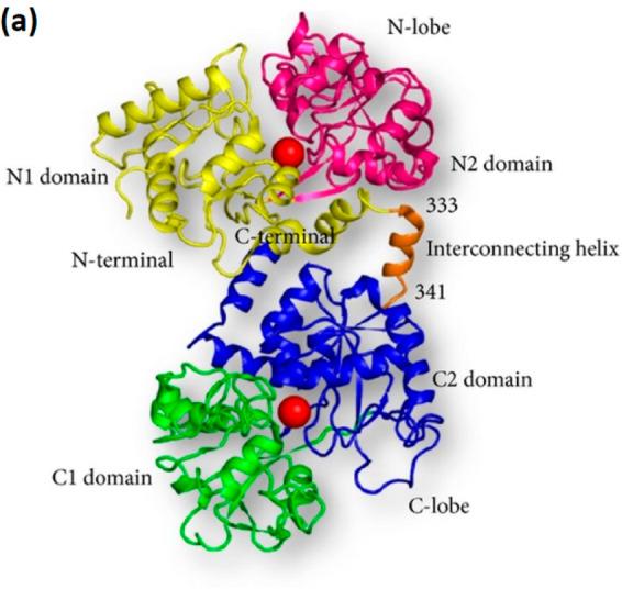 https://cdn.ncbi.nlm.nih.gov/pmc/blobs/c55b/8028004/c5efbf63562c/ao0c05848_0002.jpg