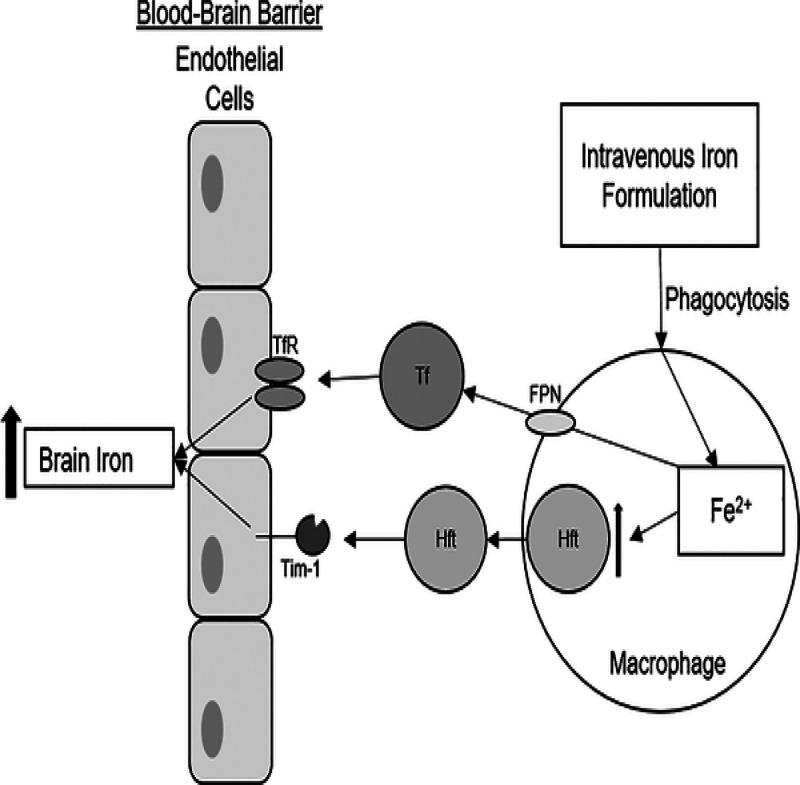 https://cdn.ncbi.nlm.nih.gov/pmc/blobs/c55b/8028004/e690f271031f/ao0c05848_0003.jpg