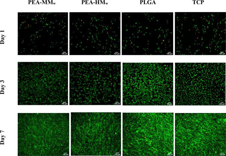 https://cdn.ncbi.nlm.nih.gov/pmc/blobs/c55b/8924872/6ccb21b43321/bm1c01417_0008.jpg