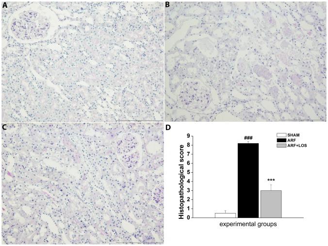 https://cdn.ncbi.nlm.nih.gov/pmc/blobs/c55e/4010520/2a76047a5fb1/pone.0096353.g002.jpg