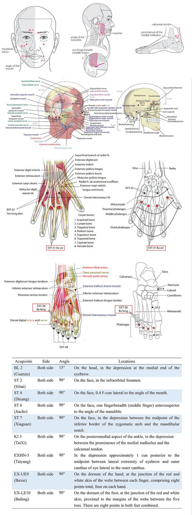 https://cdn.ncbi.nlm.nih.gov/pmc/blobs/c55f/9845618/9dc5603ba08b/fneur-13-1088138-g0003.jpg