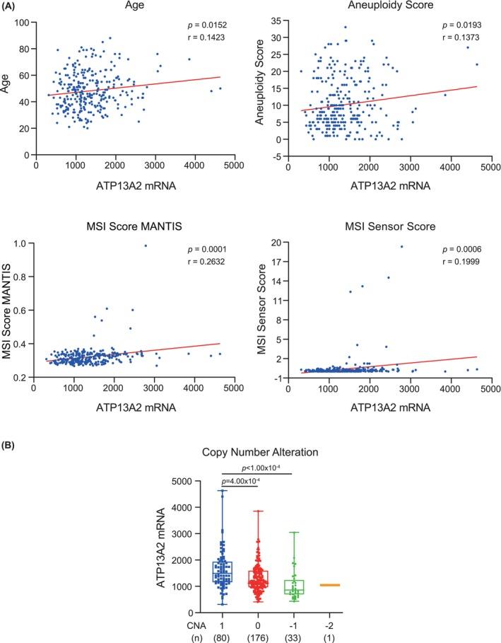 https://cdn.ncbi.nlm.nih.gov/pmc/blobs/c560/11976316/c95171919729/JCMM-29-e70097-g001.jpg