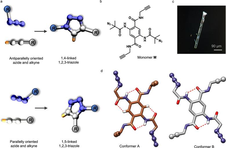 https://cdn.ncbi.nlm.nih.gov/pmc/blobs/c561/11300669/0a6de5882de2/41467_2024_51051_Fig1_HTML.jpg