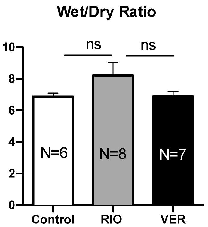 https://cdn.ncbi.nlm.nih.gov/pmc/blobs/c561/12024824/7374376b6ec1/biomedicines-13-00856-g0A2.jpg