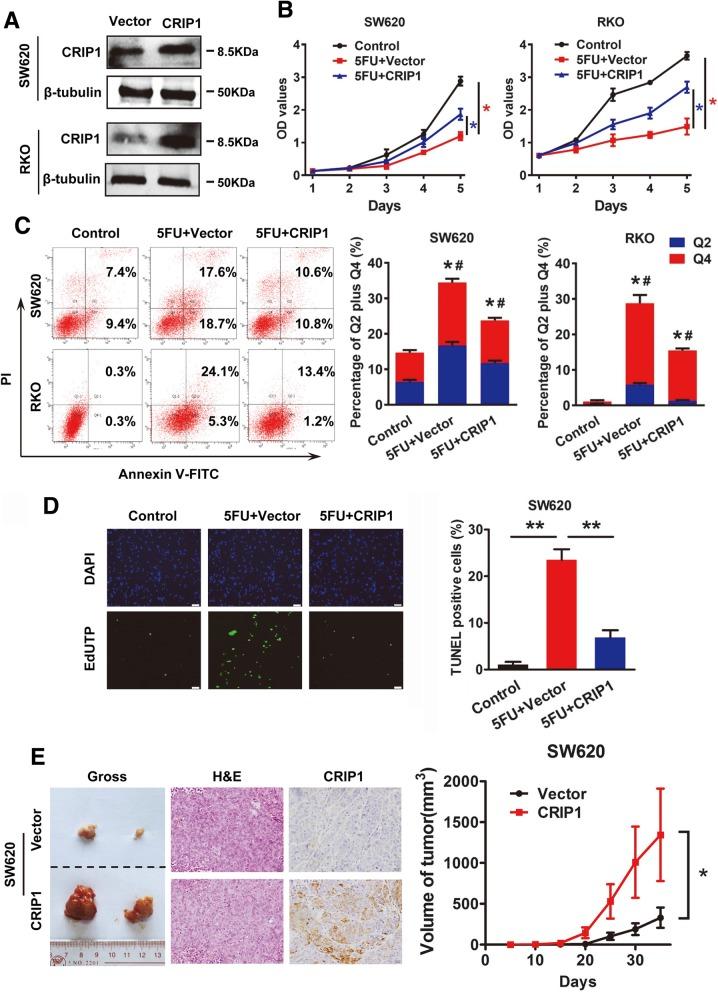 https://cdn.ncbi.nlm.nih.gov/pmc/blobs/c561/6408822/fd7109f7cd8c/13046_2019_1117_Fig2_HTML.jpg