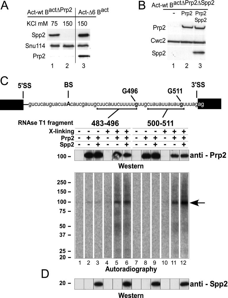https://cdn.ncbi.nlm.nih.gov/pmc/blobs/c563/4285774/15482760b6a6/94fig1.jpg