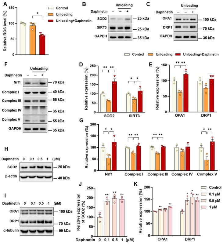 https://cdn.ncbi.nlm.nih.gov/pmc/blobs/c563/9774389/29750a63591f/antioxidants-11-02365-g007.jpg