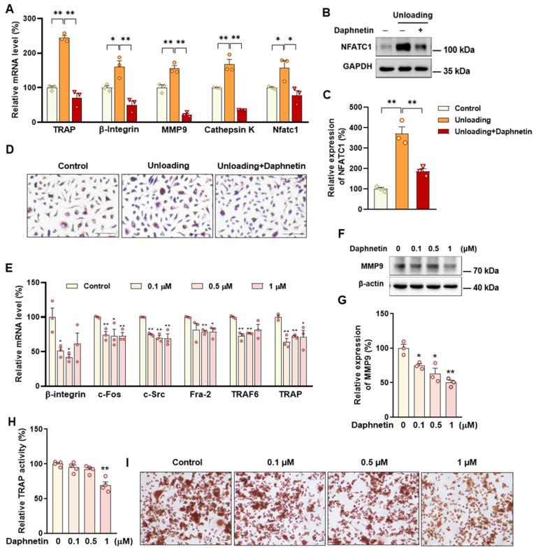https://cdn.ncbi.nlm.nih.gov/pmc/blobs/c563/9774389/f36b651e131e/antioxidants-11-02365-g006.jpg