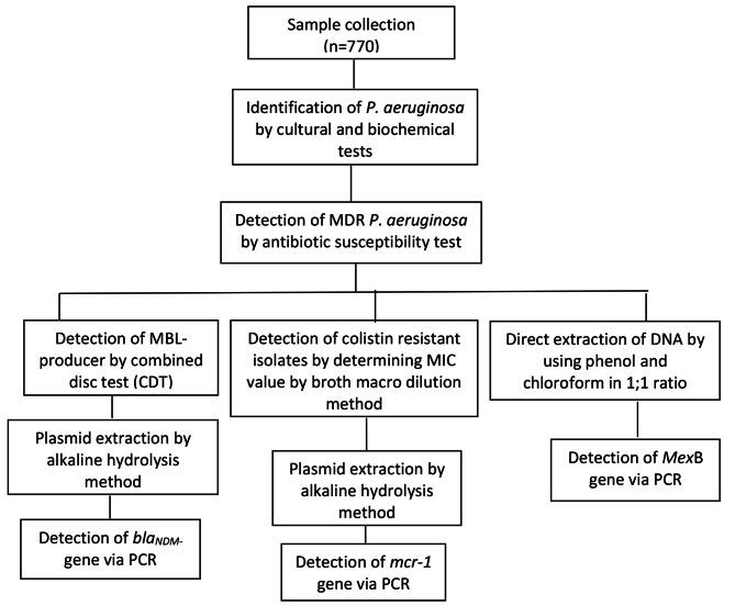 https://cdn.ncbi.nlm.nih.gov/pmc/blobs/c564/10210380/3a3d855eea4b/12866_2023_2906_Fig1_HTML.jpg