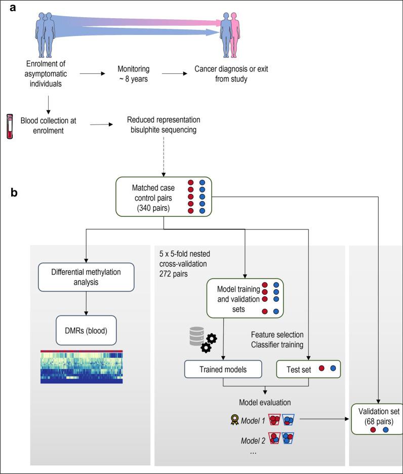https://cdn.ncbi.nlm.nih.gov/pmc/blobs/c565/10262593/f723a88122d8/13148_2023_1509_Fig1_HTML.jpg