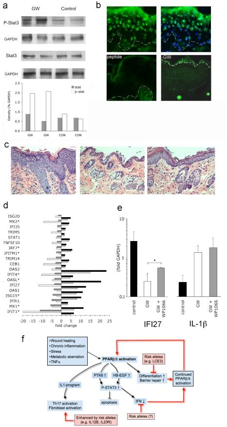 https://cdn.ncbi.nlm.nih.gov/pmc/blobs/c565/2838790/e07fb96cdb63/pone.0009701.g006.jpg