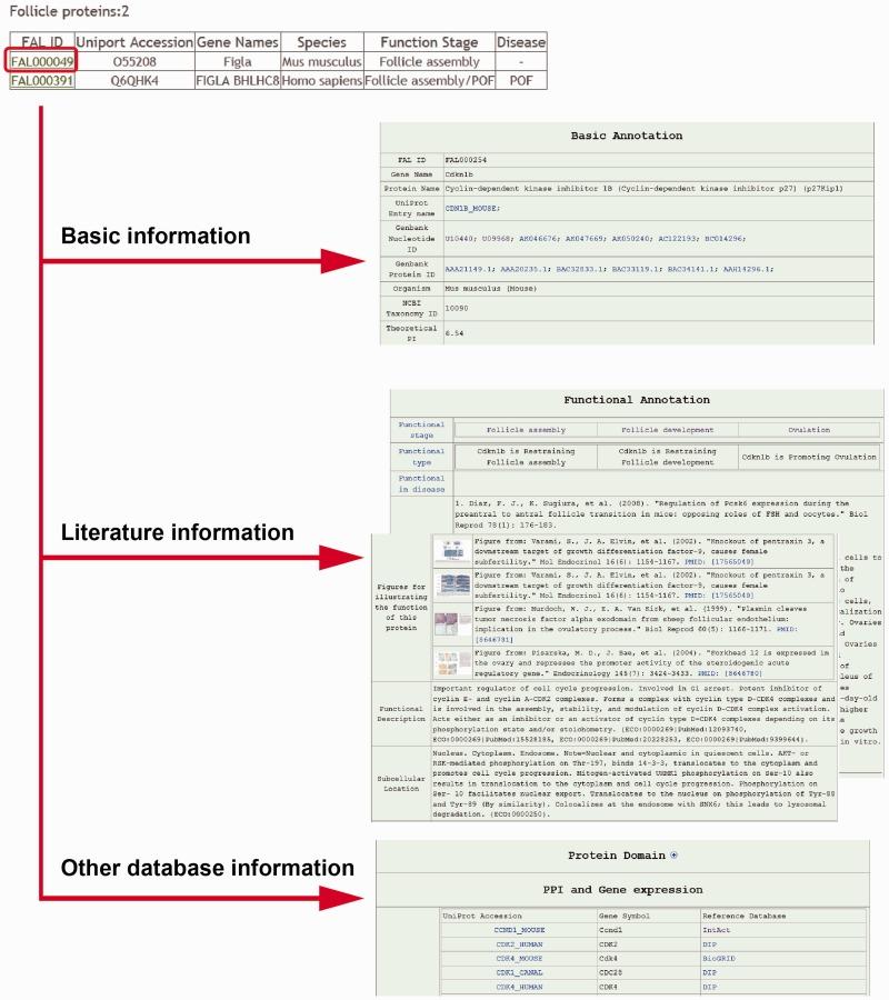 https://cdn.ncbi.nlm.nih.gov/pmc/blobs/c565/4414955/683a4b2ff64b/bav036f3p.jpg