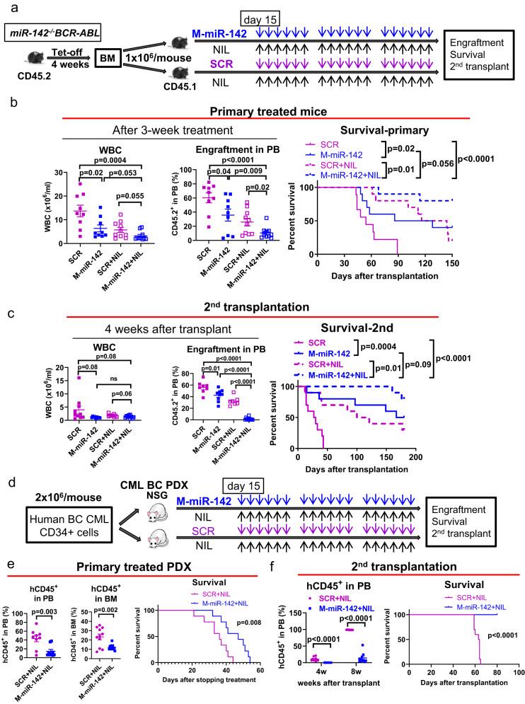 https://cdn.ncbi.nlm.nih.gov/pmc/blobs/c568/10474062/396cb14f365c/41467_2023_41167_Fig7_HTML.jpg