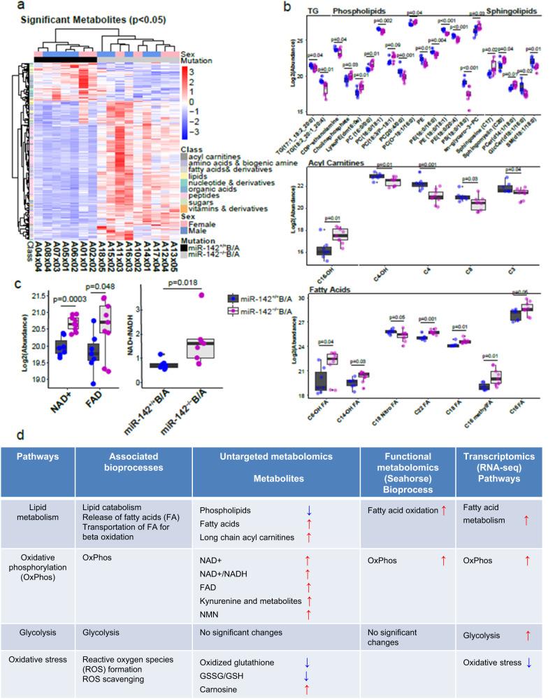 https://cdn.ncbi.nlm.nih.gov/pmc/blobs/c568/10474062/429f1899d251/41467_2023_41167_Fig4_HTML.jpg
