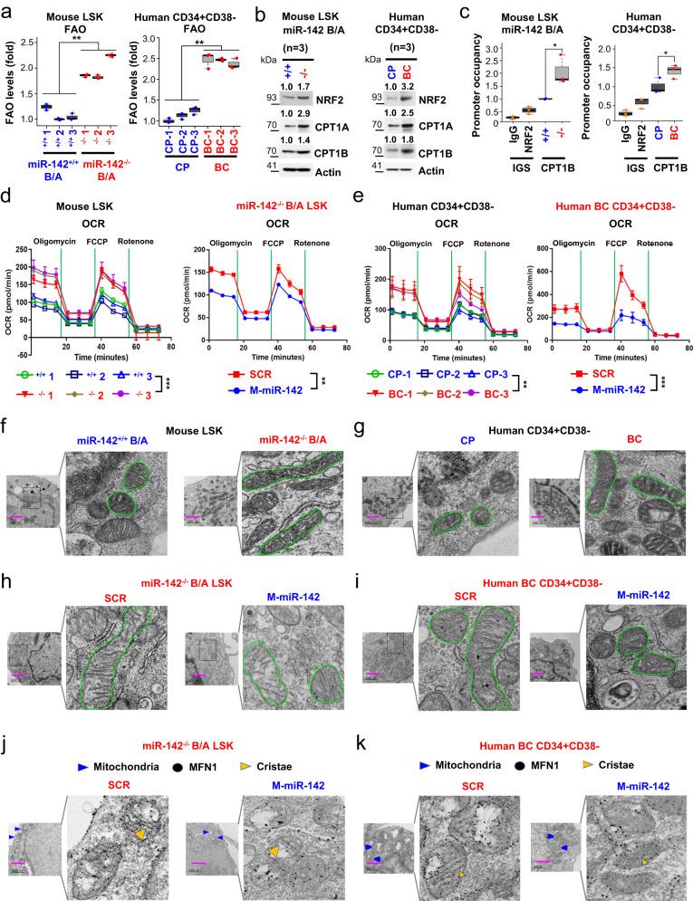 https://cdn.ncbi.nlm.nih.gov/pmc/blobs/c568/10474062/725d42e41c35/41467_2023_41167_Fig5_HTML.jpg