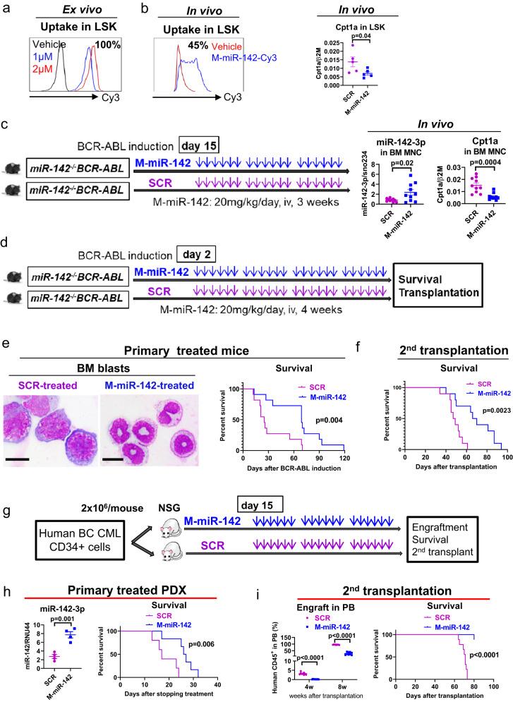 https://cdn.ncbi.nlm.nih.gov/pmc/blobs/c568/10474062/835c7e52aac1/41467_2023_41167_Fig6_HTML.jpg