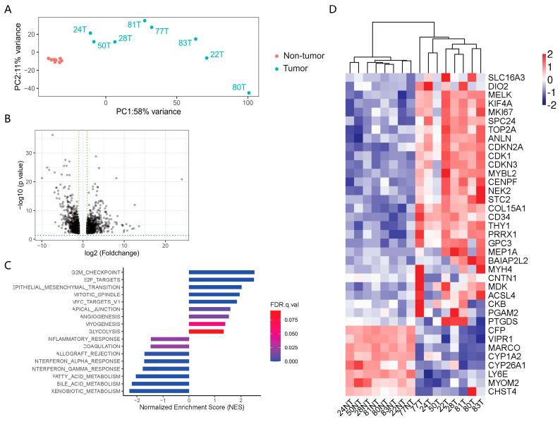 https://cdn.ncbi.nlm.nih.gov/pmc/blobs/c568/10670553/2e36efa43561/cancers-15-05309-g004.jpg