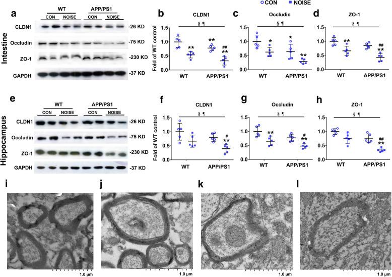https://cdn.ncbi.nlm.nih.gov/pmc/blobs/c568/7789697/e209f70131a7/12974_2020_2053_Fig6_HTML.jpg