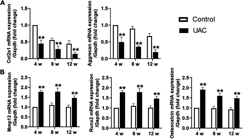 https://cdn.ncbi.nlm.nih.gov/pmc/blobs/c568/8842872/03ed522a9b0b/13075_2022_2738_Fig2_HTML.jpg