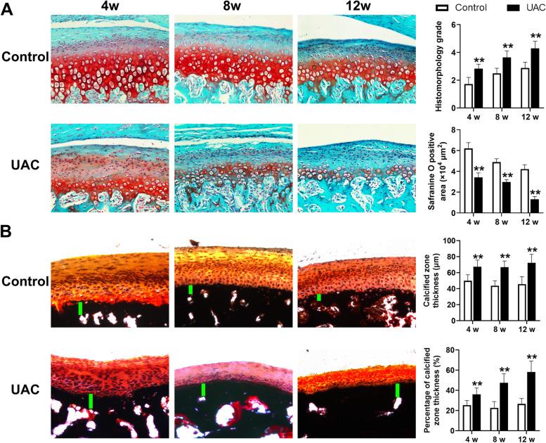 https://cdn.ncbi.nlm.nih.gov/pmc/blobs/c568/8842872/a76003cef05f/13075_2022_2738_Fig1_HTML.jpg